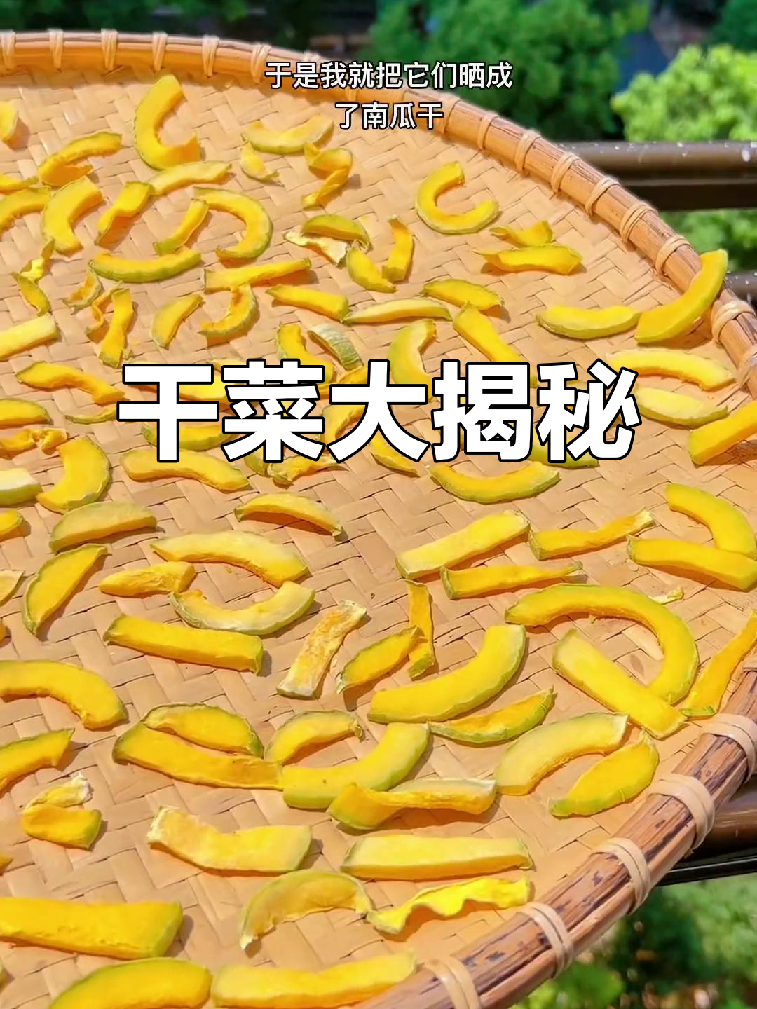 蔬菜丰收，晒干保存，看看我做了哪些美味干菜！