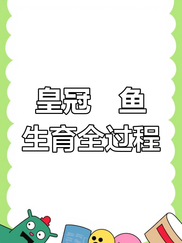 20230220皇冠魟鱼卵胎生，母子并肩作战！