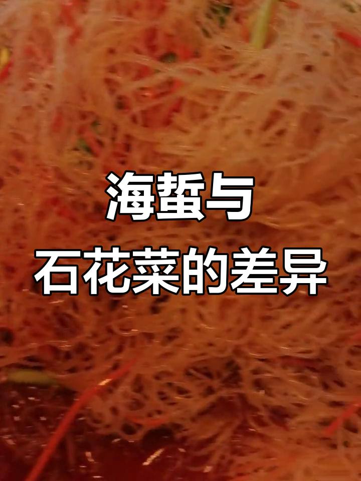 海蜇丝和石花菜的区别,你分得清吗?