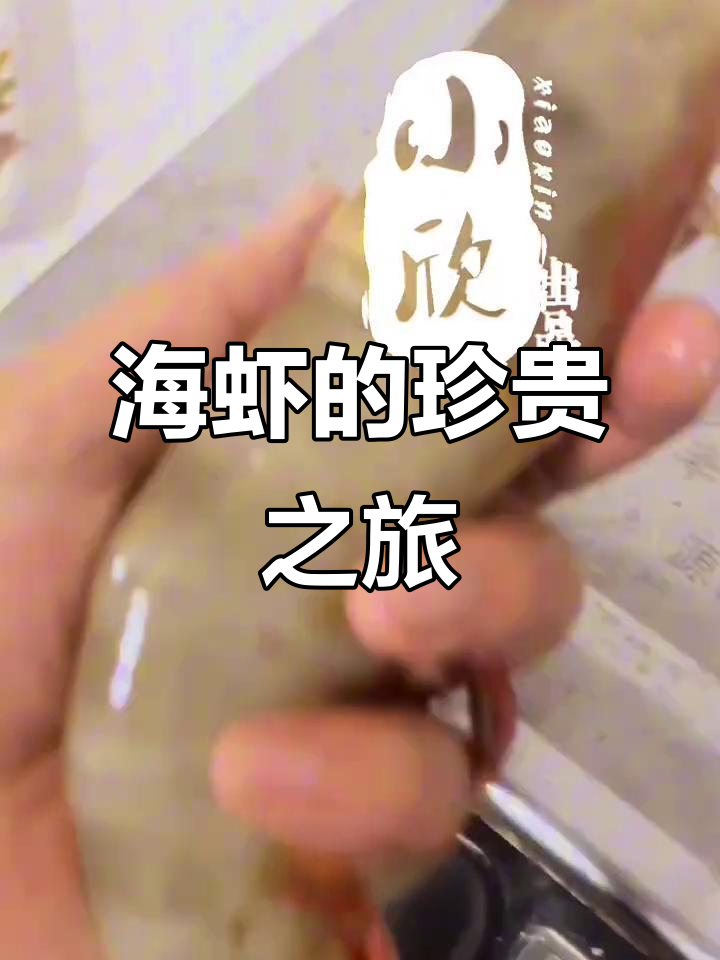 十月的海虾,壳硬肉厚,深海捕捞,难得一见!