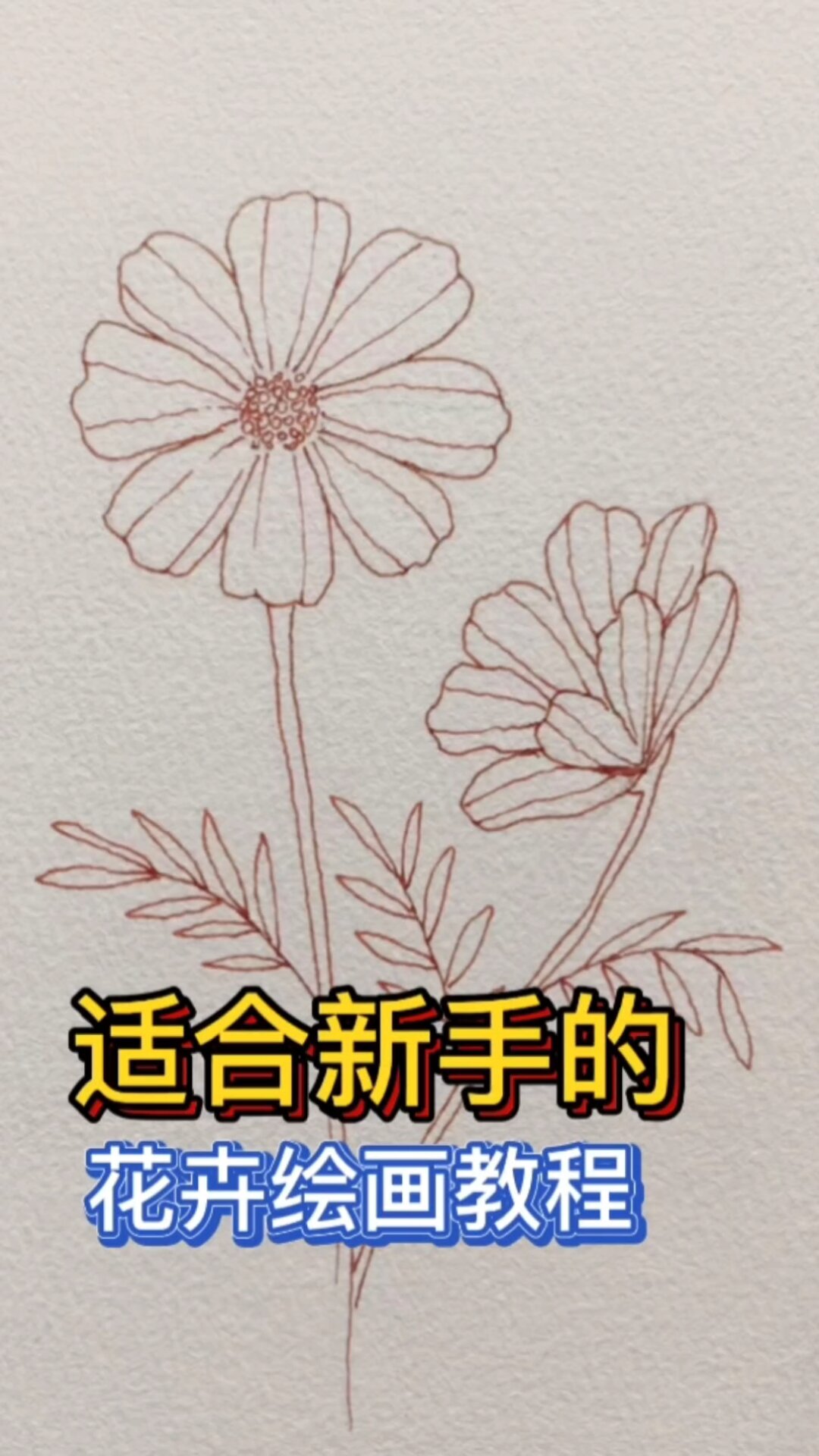 适合绘画新手的花卉教程,超级简单一看就会