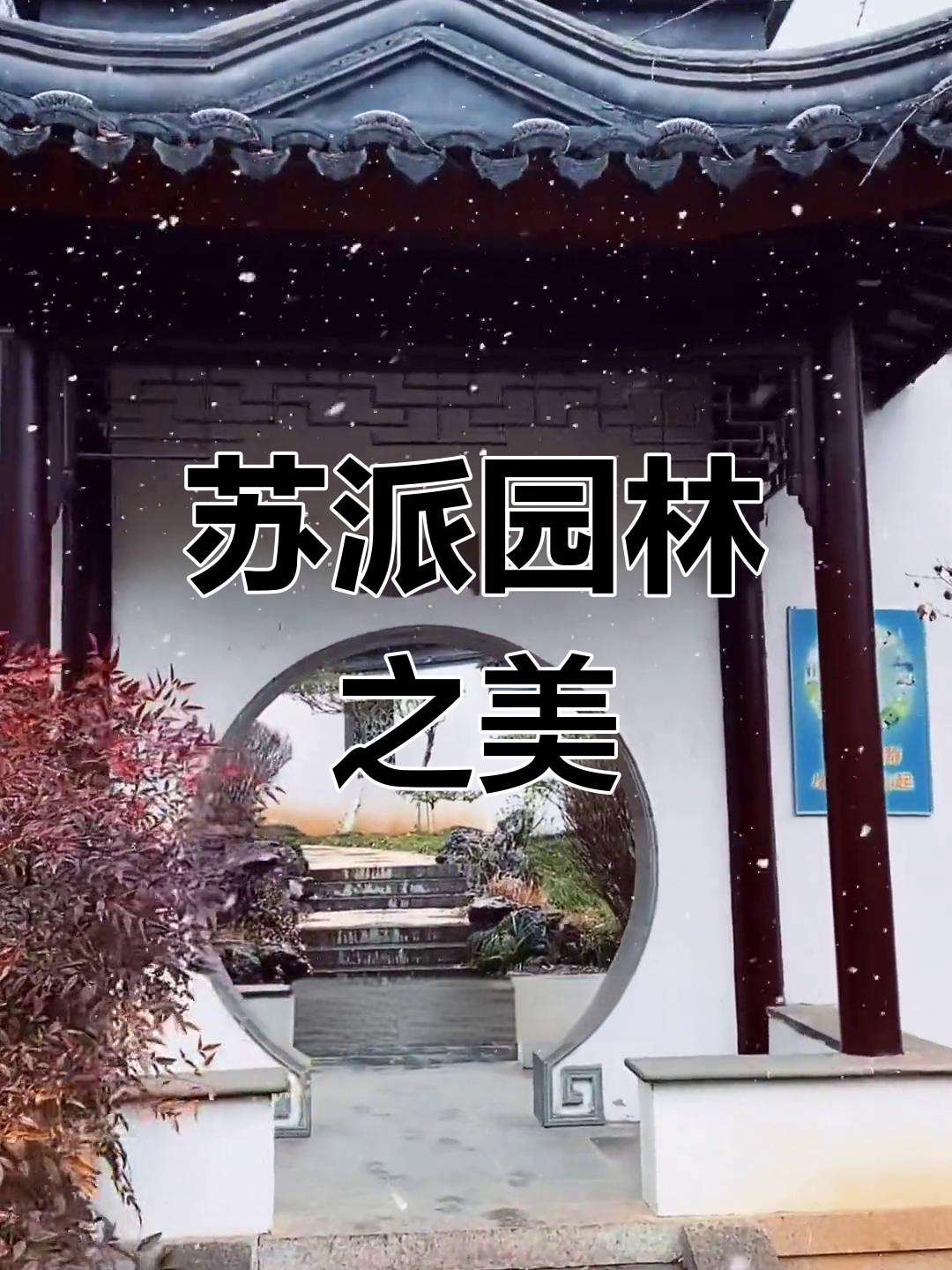 苏州园林,江南之美,建筑与自然和谐共存