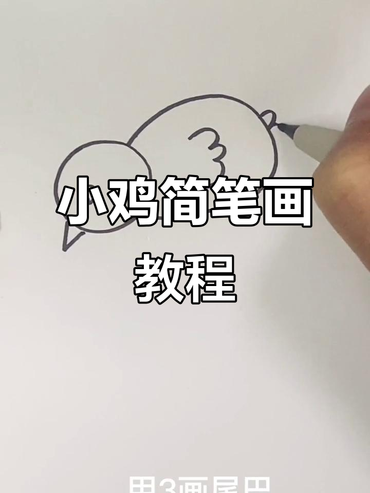 轻松学画小鸡,步骤简单又有趣