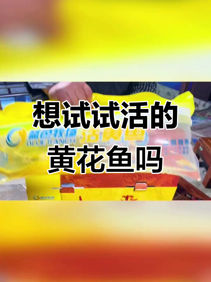 活大黄鱼来啦!冰鲜冷冻的黄花鱼,你尝过吗?