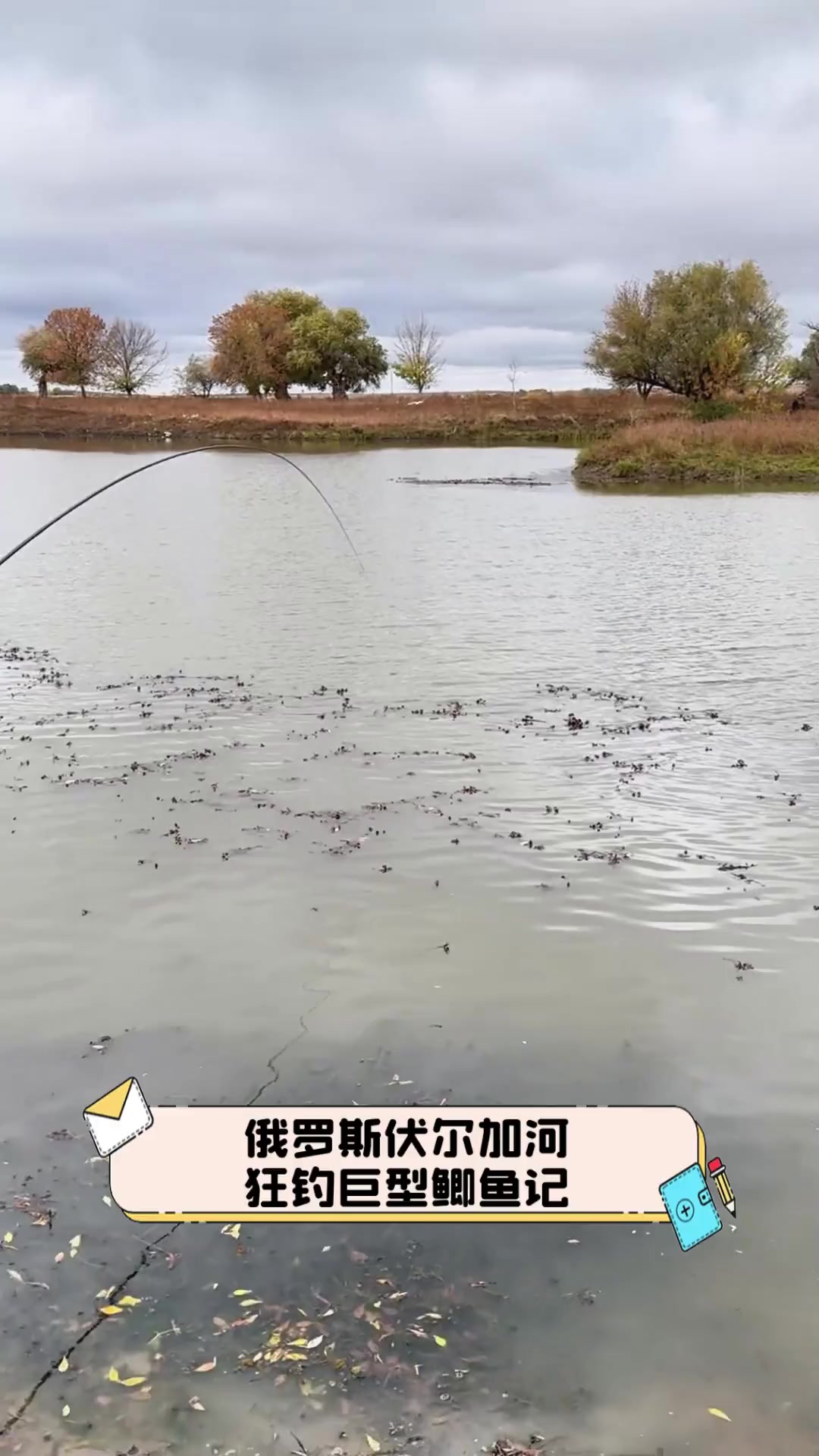 俄罗斯伏尔加河,狂钓巨型鲫鱼记