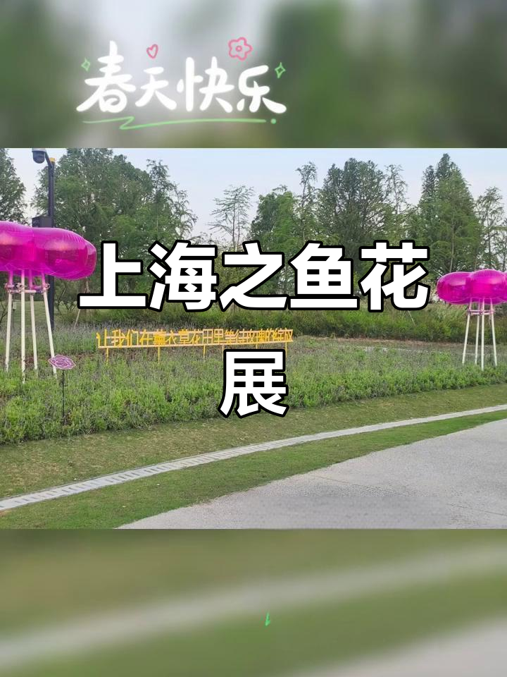 2025上海之鱼花展:一场视觉与嗅觉的盛宴