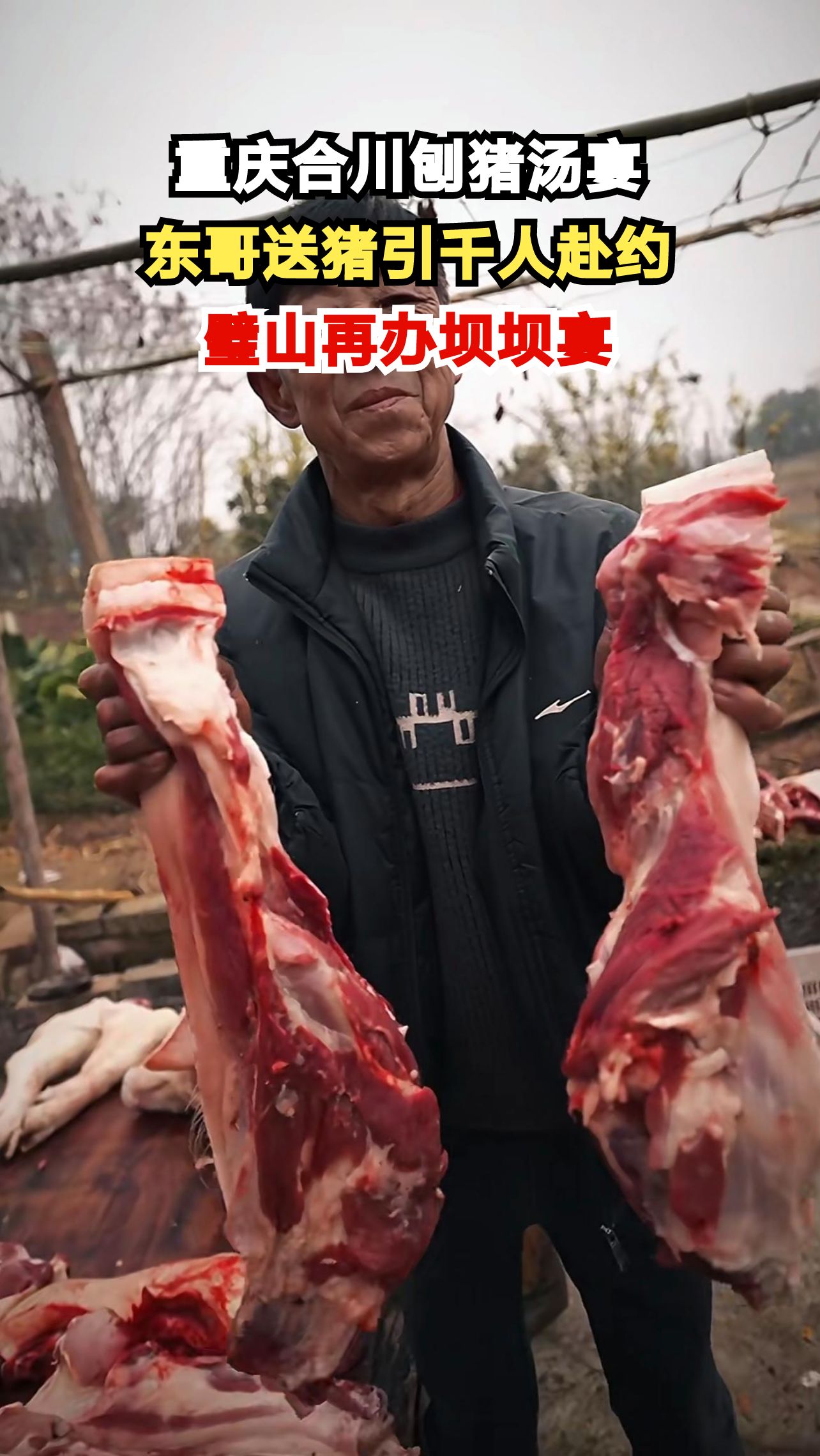 重庆女孩求助按猪引千人赴约,东哥送猪后璧山再办刨猪汤宴,这场温情为何让人破防?