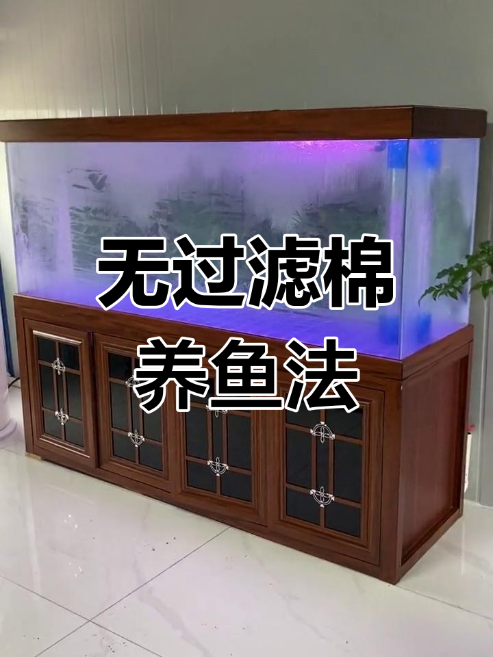 鱼缸粪便分离器,彻底告别过滤棉