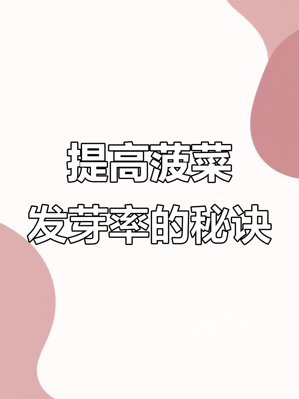 菠菜种植技巧：如何提高出芽率，简单操作教你搞定