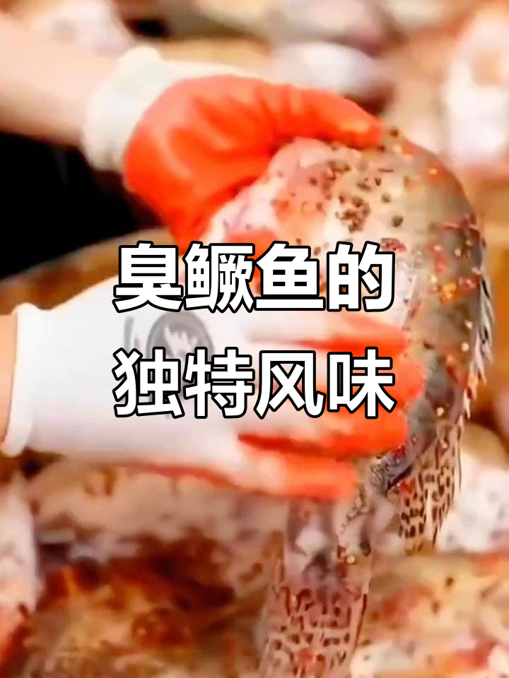 黄山特产臭鳜鱼,去鳞净膛,包装称重8-9两