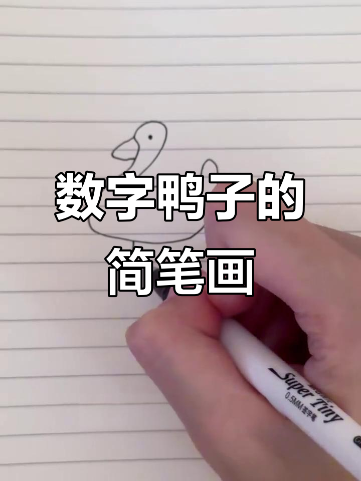 用数字画鸭子,简单又好玩!