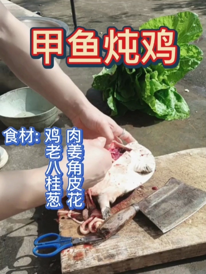 补中益气、健脾开胃、补铁的高营养甲鱼炖鸡