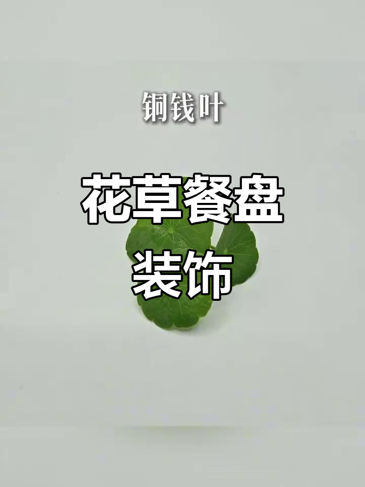 欧味花草餐盘装饰,冷菜摆盘新风尚
