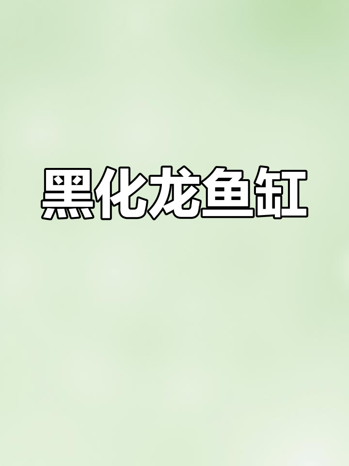 1.5米黑化龙鱼缸,豪华配置,时尚与功能并存