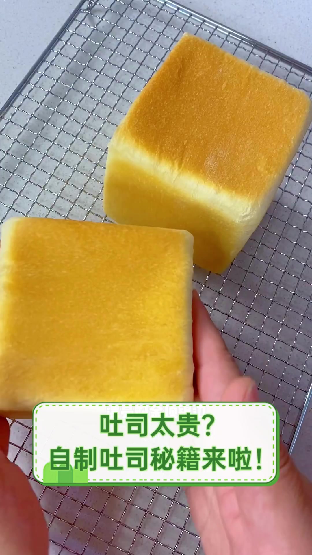 吐司太贵?自制吐司秘籍来啦!