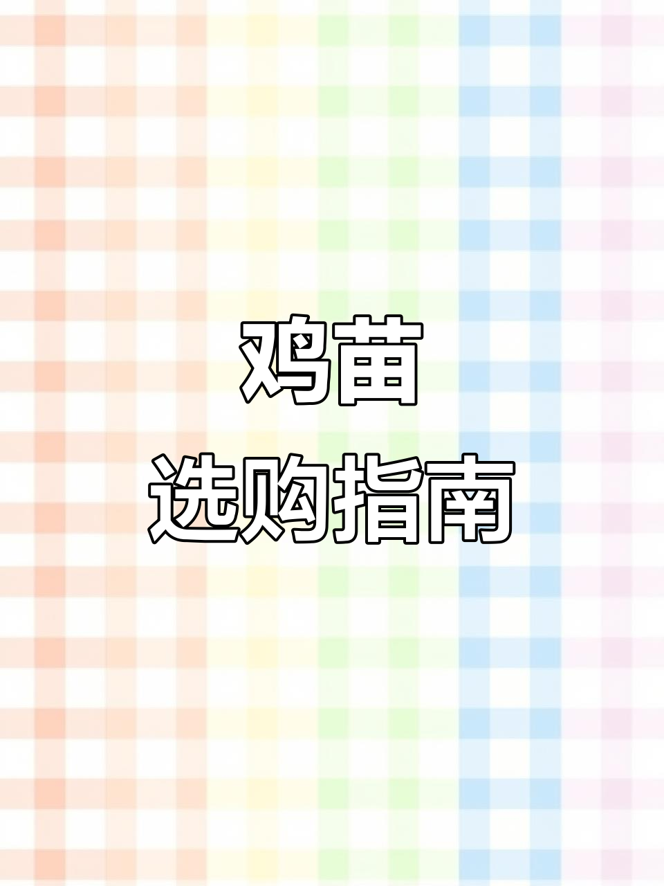 三黄鸡苗,两万只任选,公母皆有