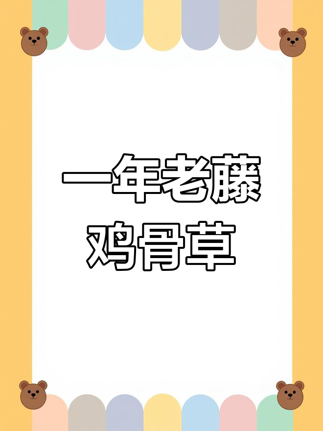 一年鸡骨草,根茎粗壮晒干香浓