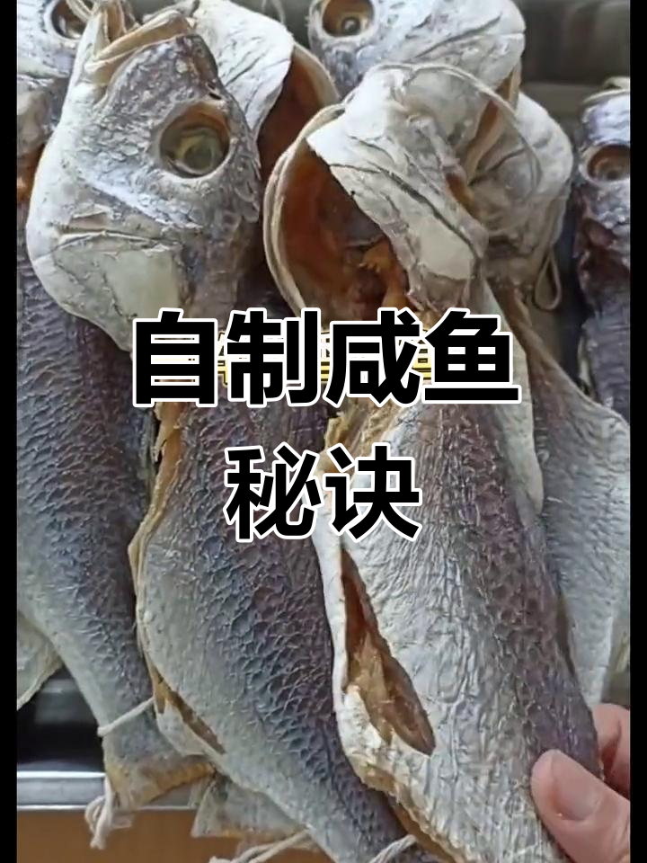 晒咸鱼的简单技巧,轻松做出美味
