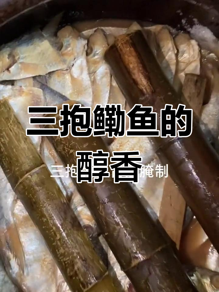 8个月古法腌制三抱鳓鱼,香气扑鼻
