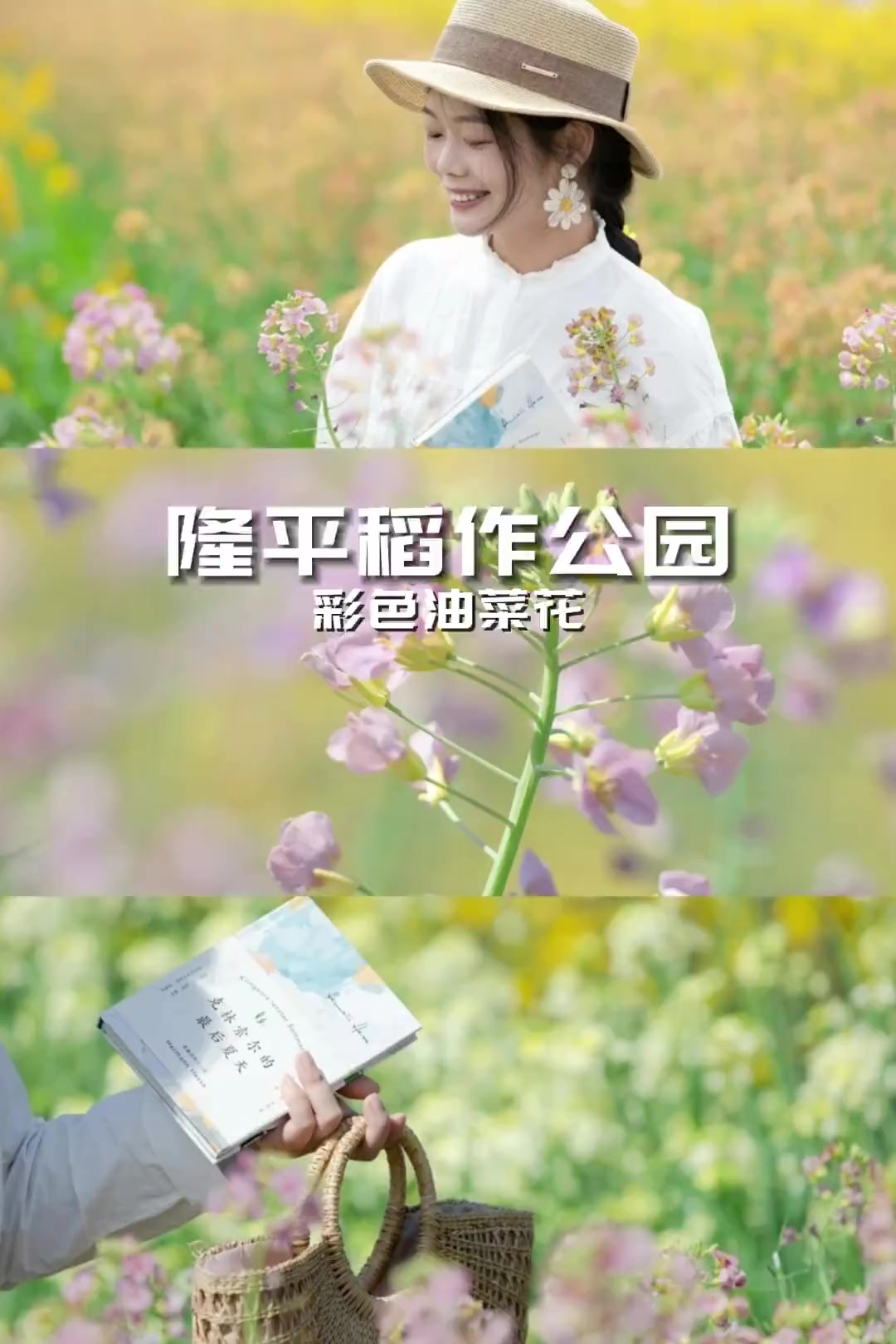 谁还没看过袁隆平爷爷的彩色油菜花?丨隆平稻作公园