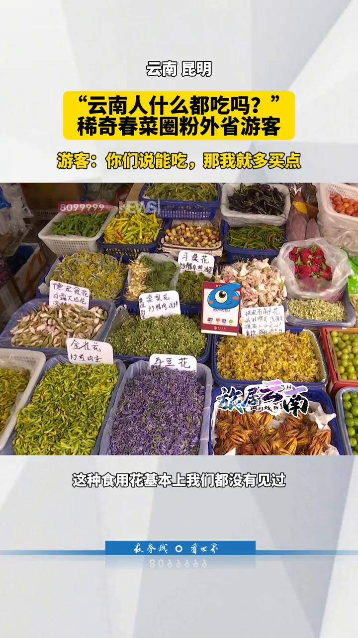 云南春菜太“上头”!外省游客:原来春天还能这样吃