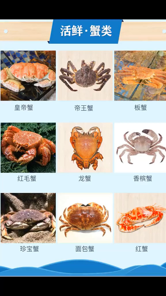 海鲜分类正确名称图解