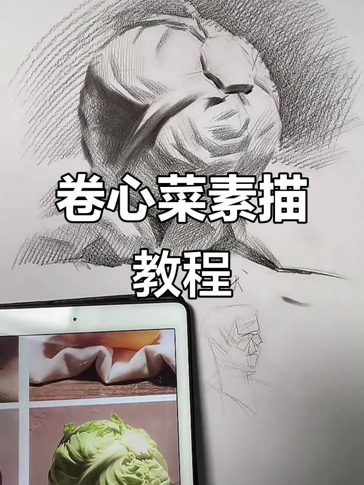 卷心菜素描技巧大揭秘,轻松掌握揉擦法