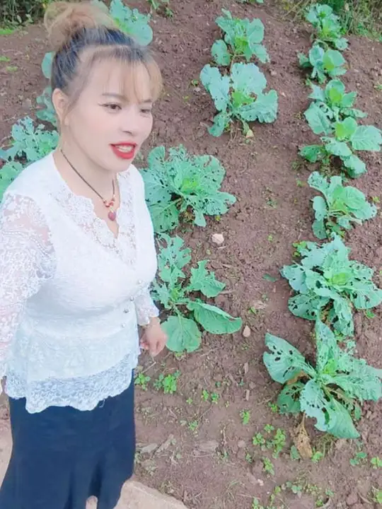 上午无聊,来一波美照,享受自己种的纯天然蔬菜!