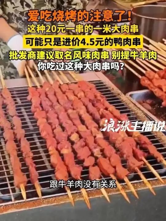 爱吃烧烤的注意了！这种20元一串的一米大肉串 可能只是进价4.5元的鸭肉串 批发商建议取名