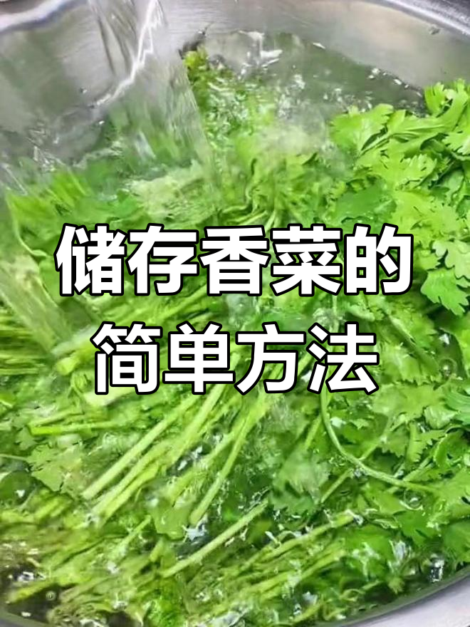 香菜冷冻保存技巧,冬季也能享受新鲜味