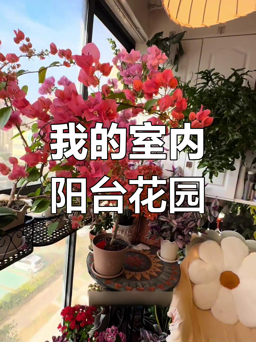 打造阳台小花园,春天正是最佳时机