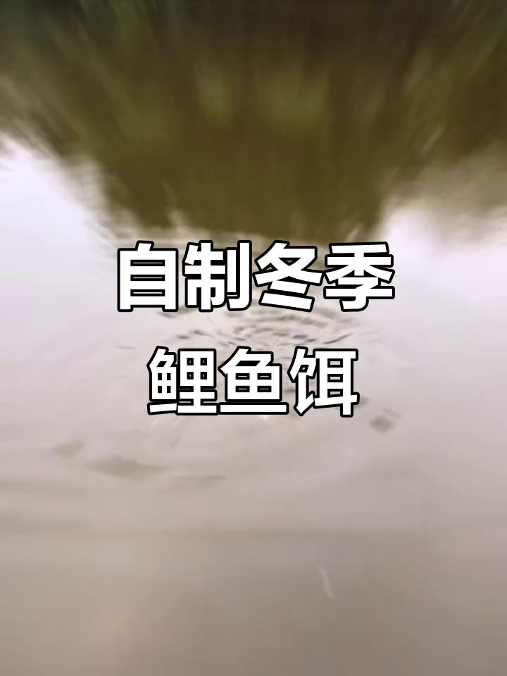 冬季鲤鱼最爱红薯饵料,简单制作不怕小鱼干扰