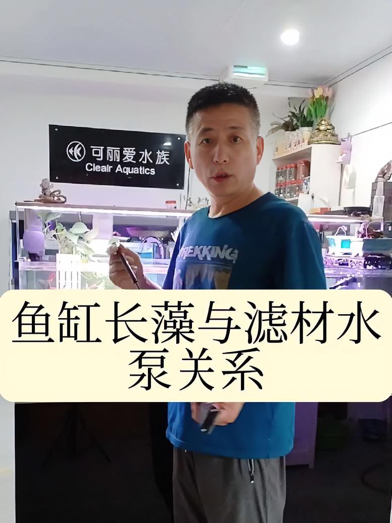 第一集：鱼缸滋生藻类与滤材水泵有关系吗？养鱼日记 杨凌养鱼达人 杨凌 鱼闻天下 藻类