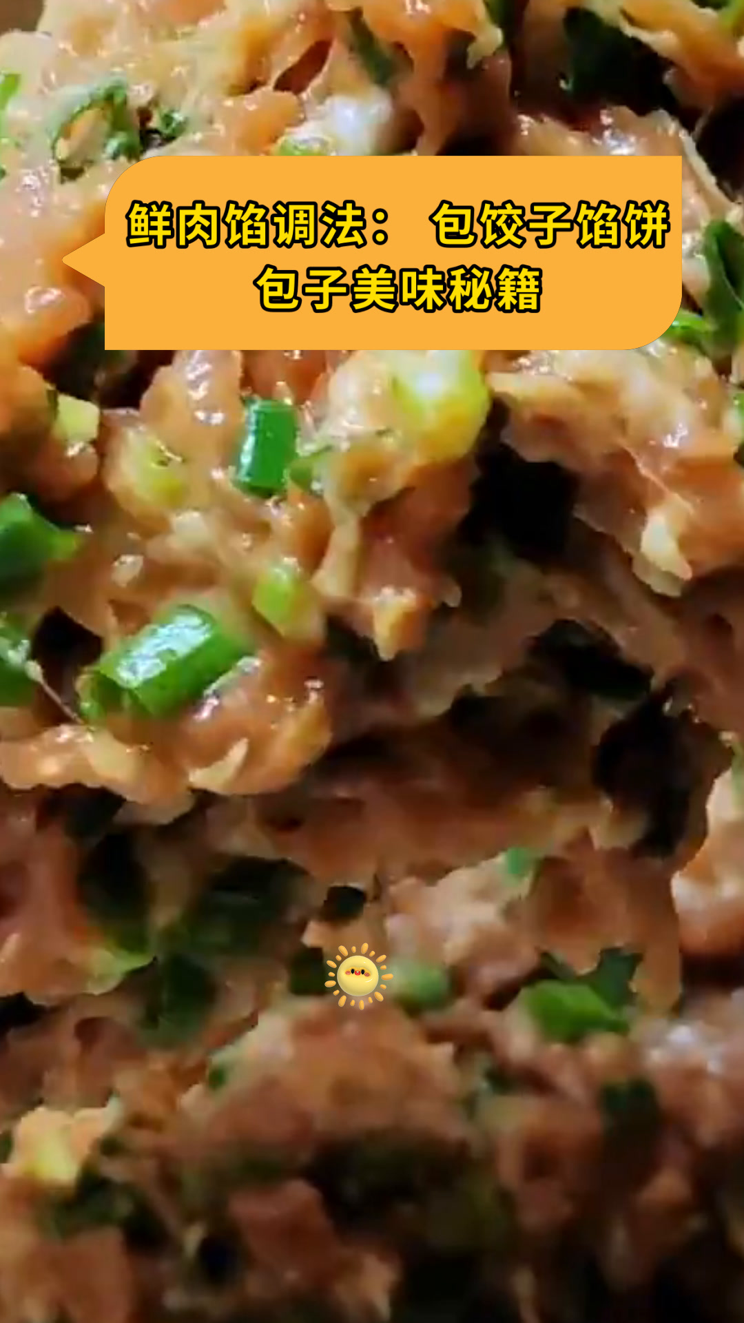 鲜肉馅调法:包饺子馅饼包子美味秘籍