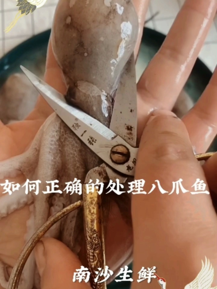 如何正确的处理八爪鱼