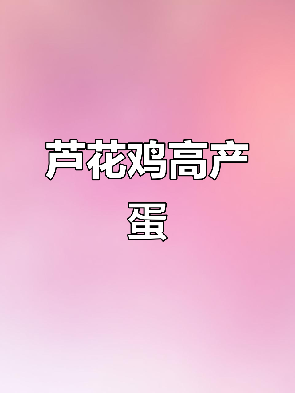芦花鸡产蛋王,两万多只下绿壳蛋,吃剩饭就能养