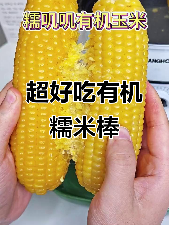 软糯香甜有机玉米,早餐搭配鸡蛋最合适