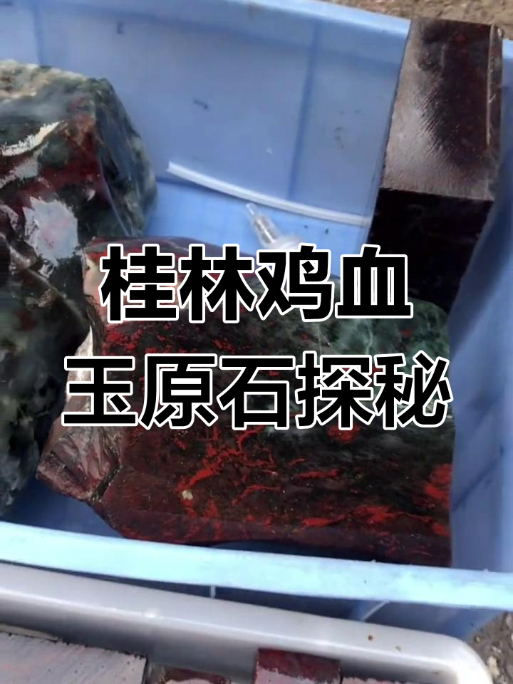 桂林鸡血玉原石揭秘，早市上的奇珍异宝