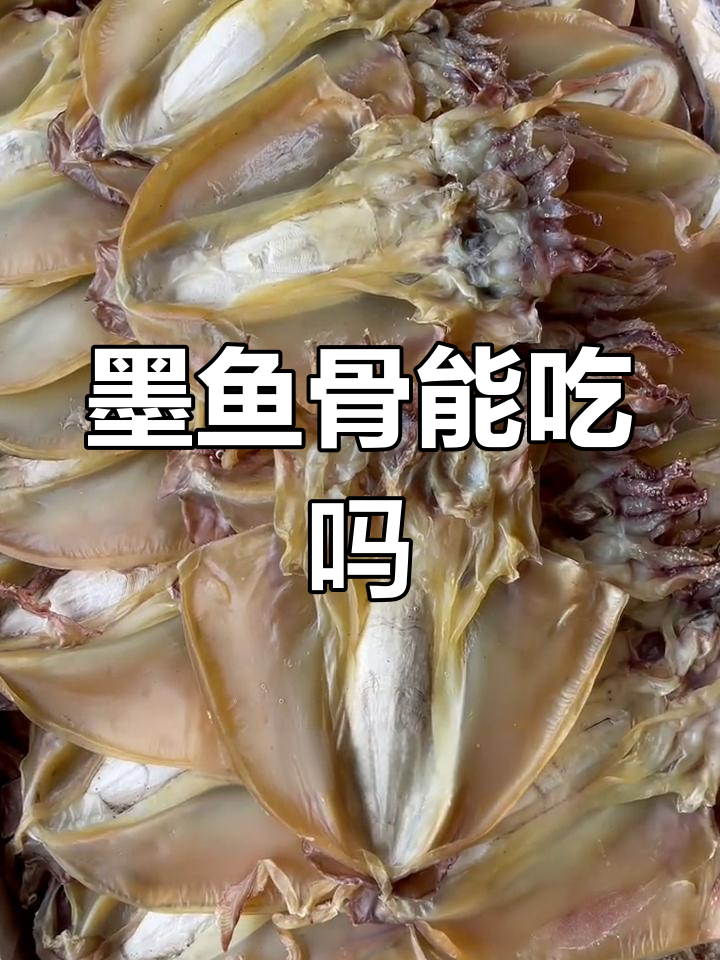 墨鱼骨的营养价值与用途