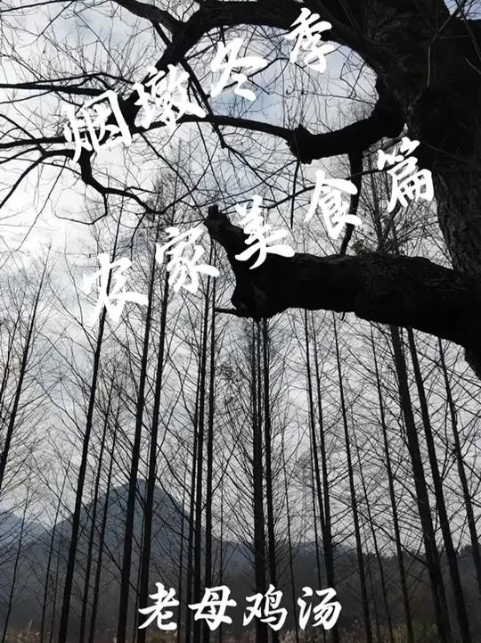 烟墩冬季农家美食——老母鸡汤(广告推广)