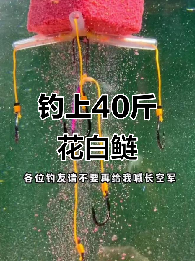 夜钓获40斤花白鲢,终于摆脱绰号困扰!