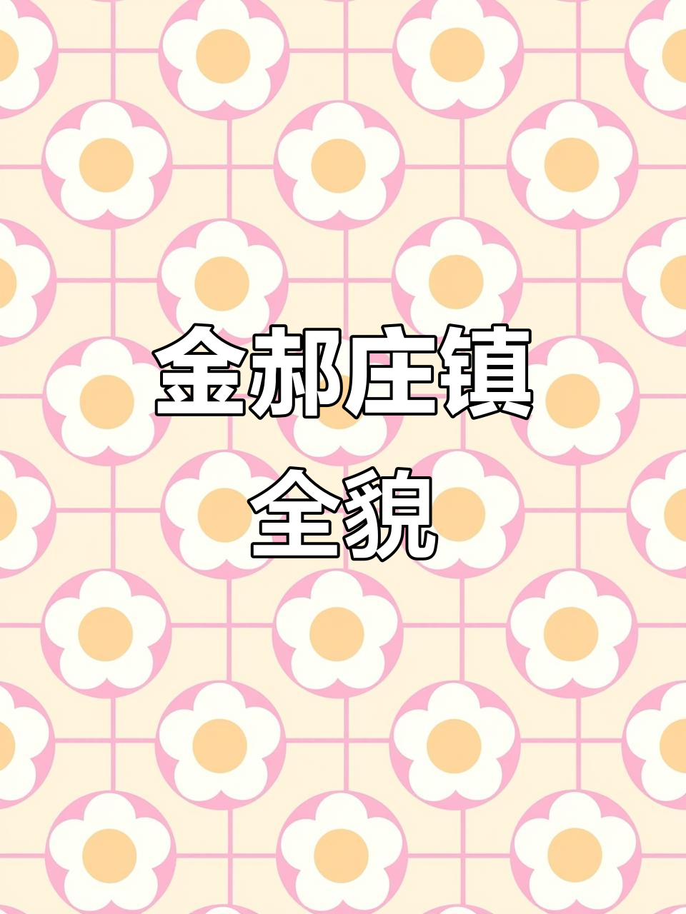 山东临清金郝庄镇全景展示,美丽乡村尽收眼底