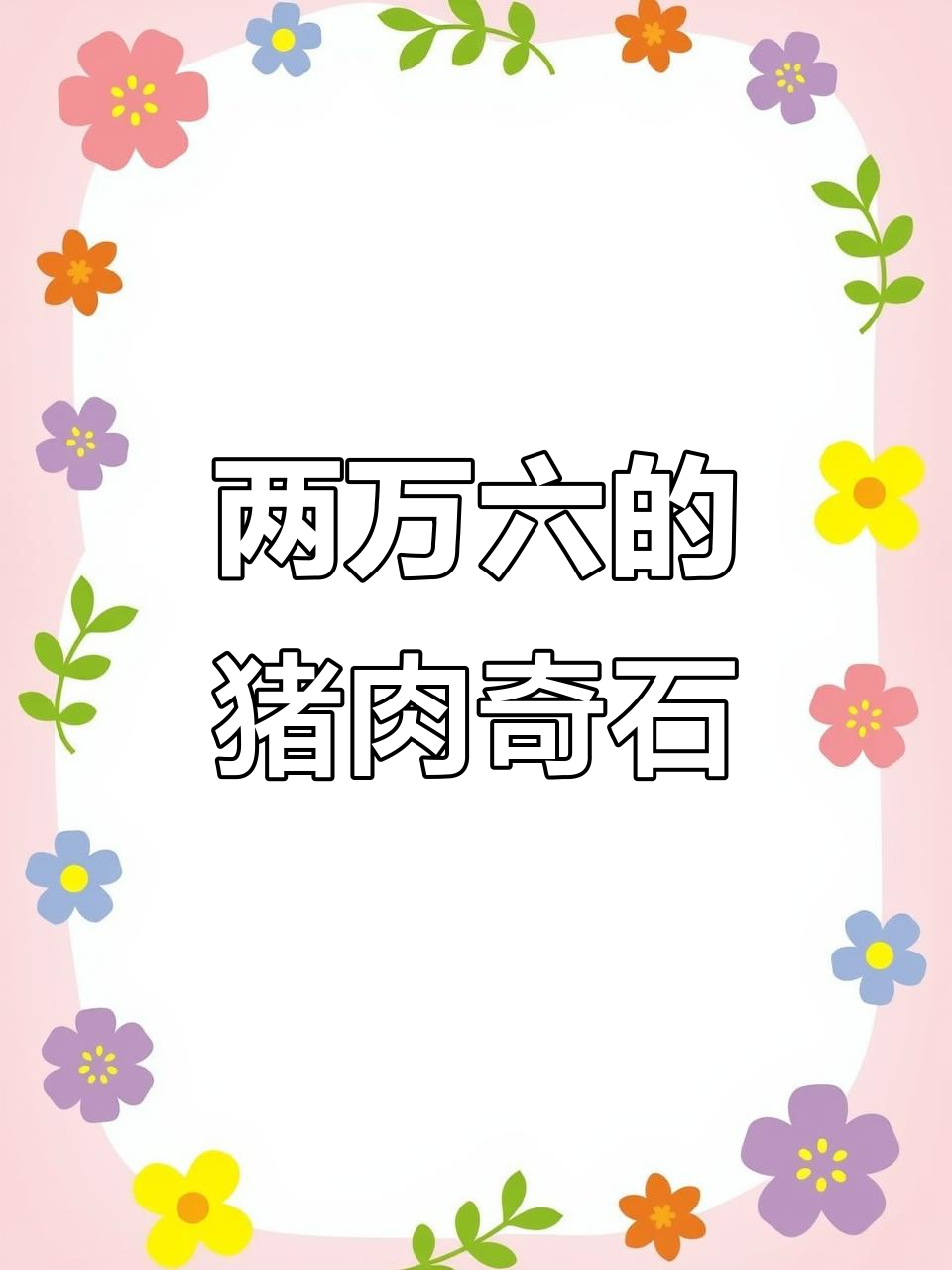 纯天然猪肉石,两万六不讲价!