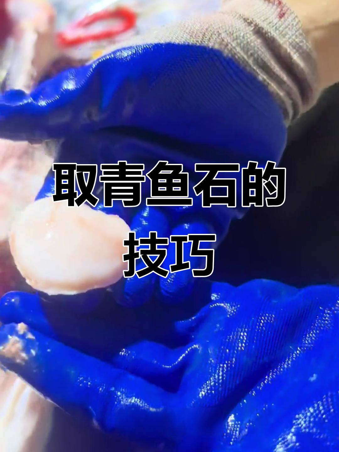 青鱼石位置与取法,轻松掌握!
