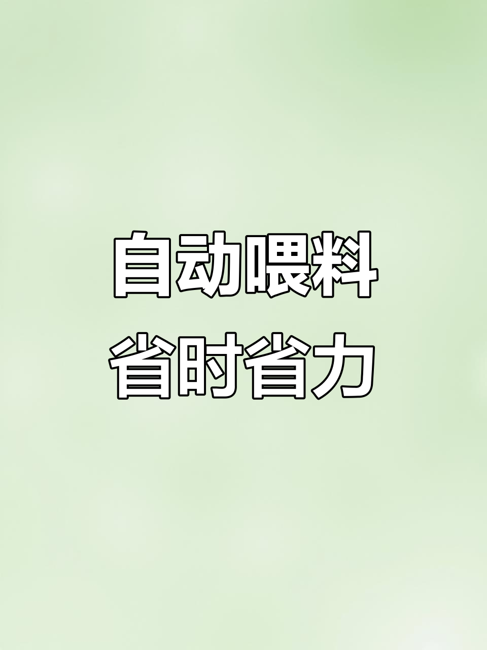 养鸡场自动喂料机,轻松解决饲料浪费问题