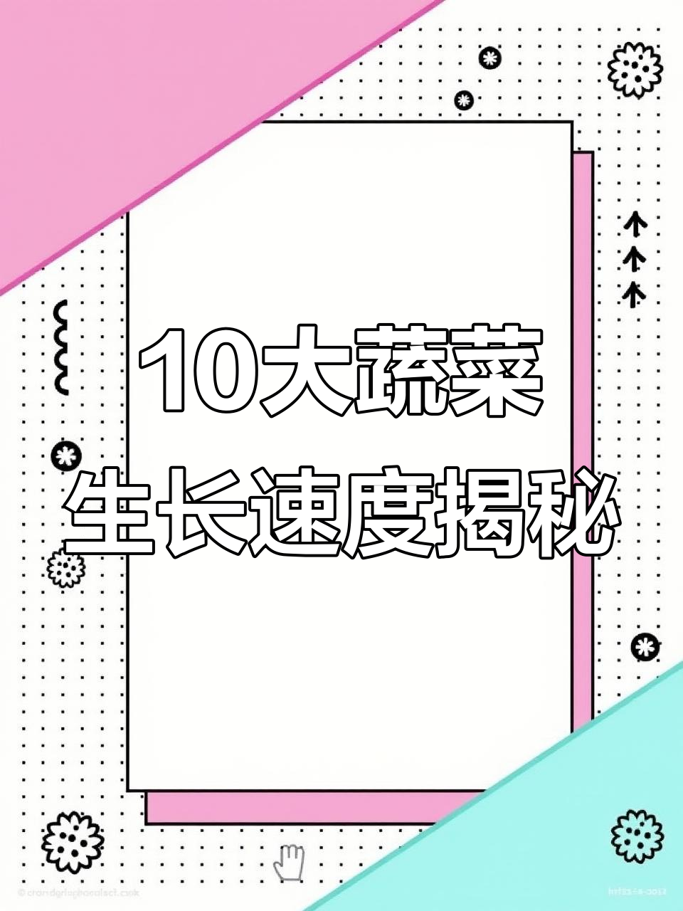 了解10种常见蔬菜的生长周期,看看哪种最快成熟