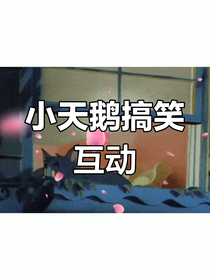小天鹅表情包大赏,聊天套路满满