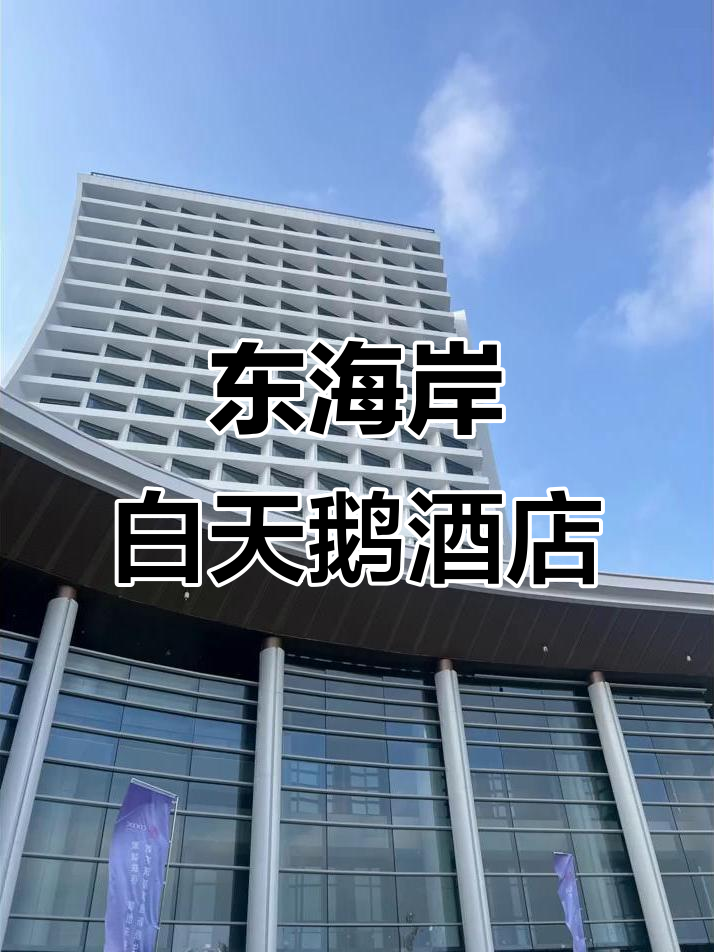 汕头东海岸新地标,粤东首家白天鹅五星级酒店揭秘