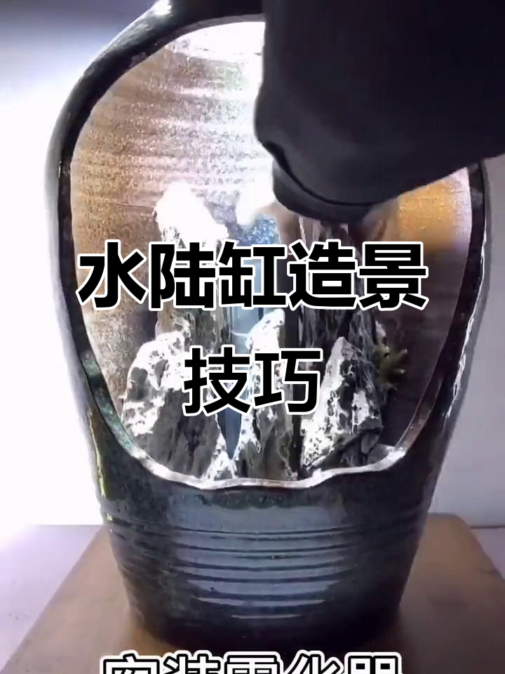 聚宝盆水草造景教程,打造生态缸新景观