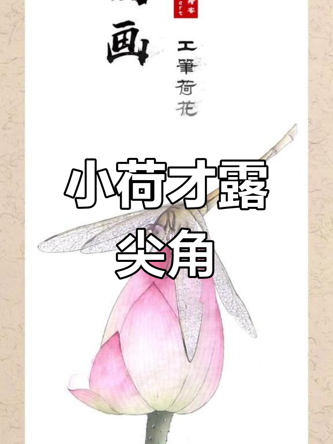荷花蜻蜓工笔画,步骤详解轻松学会